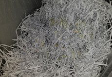 Confetti 